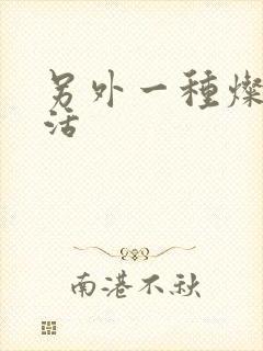 另外一种灿烂生活