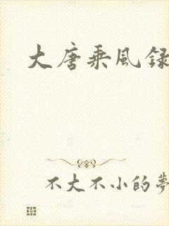 大唐乘风录