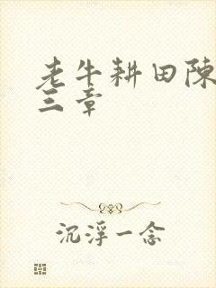 老牛耕田陈雪第三章