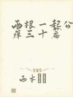 两根一起公憩止痒三十篇