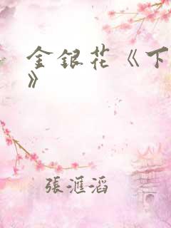 金银花《下厨房》