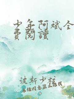 少年阿斌全文免费阅读