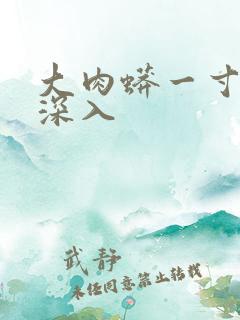 大肉蟒一寸寸地深入