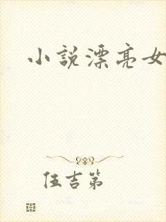 小说漂亮女局长