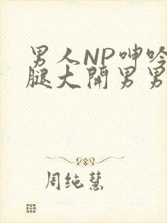 男人NP呻吟双腿大开男男小说
