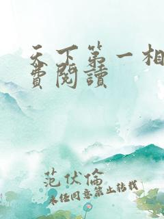 天下第一相书免费阅读