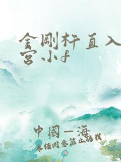 金刚杵直入莲花宫小f