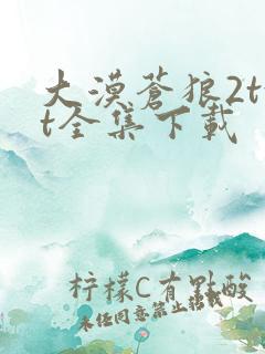 大漠苍狼2txt全集下载