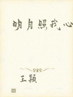 明月照我心小说