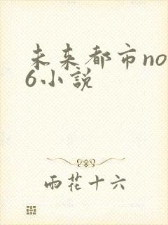 未来都市no.6小说