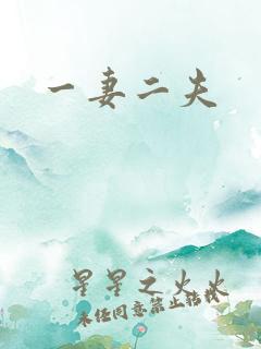 一妻二夫