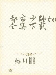 都市少帅txt全集下载