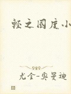 轻之国度小说
