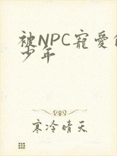 被NPC宠爱的少年