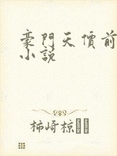 豪门天价前妻 小说