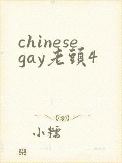 chinesegay老头4