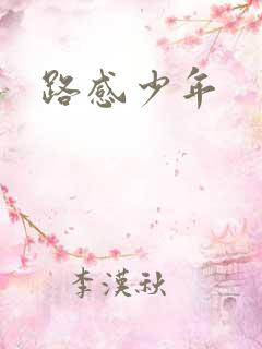 路感少年