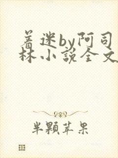 着迷by阿司匹林小说全文免费阅读