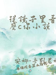 从镜子里看我怎么c你小说