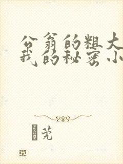 公翁的粗大放进我的秘密小说