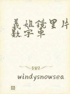 义姐镜里片微博数字车