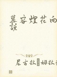 慕容煜花向晚小说