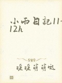 小雨日记11-12h