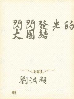 闪闪发光的小说大团结