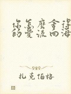 你怎么舍得让我的爱流向海