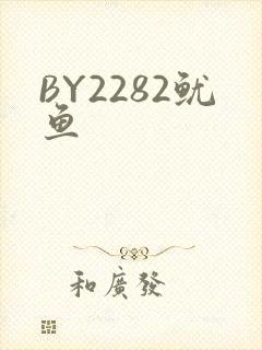 BY2282鱿鱼