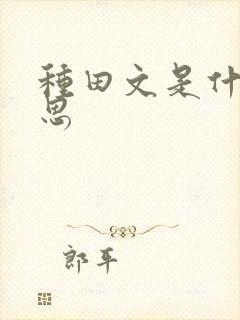 种田文是什么意思