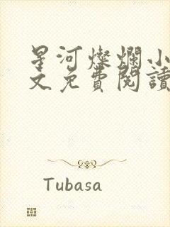 星河灿烂小说全文免费阅读