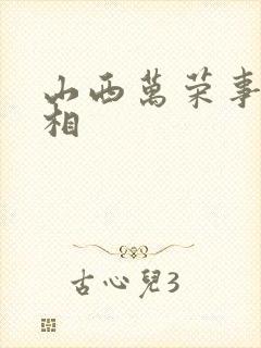 山西万荣事件真相