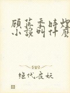 顾苒季时煜电竞小说叫什么名字