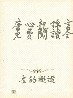 唐心龙锦言小说免费阅读全文