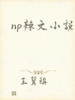 np辣文小说