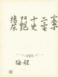 杨门十二寡妇肉床艳史电子书