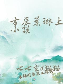 方辰叶琳上官步小说