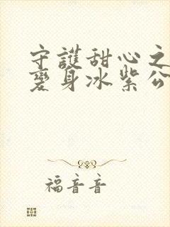 守护甜心之亚梦变身冰紫公主