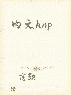 肉文hnp