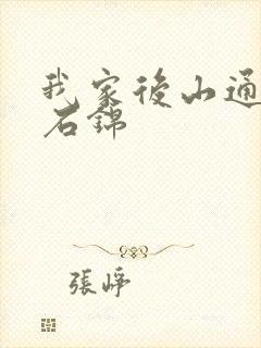 我家后山通仙界石锦