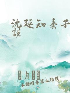 沈延知秦子卿小说