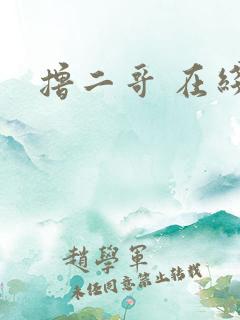 撸二哥 在线