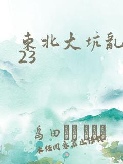 东北大坑乱1—23