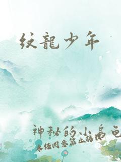 纹龙少年