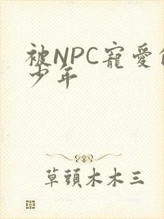 被NPC宠爱的少年