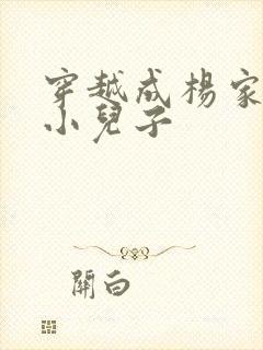 穿越成杨家将最小儿子