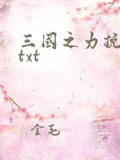 三国之力挽狂澜txt