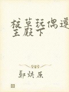 校草玩偶遵命公主殿下