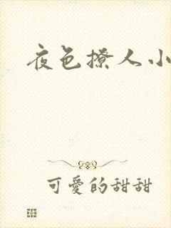 夜色撩人小说